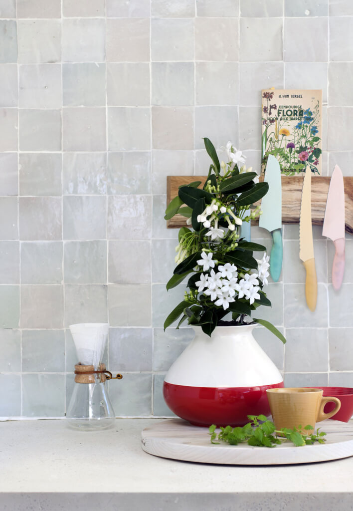 Auch in der Küche setzen weiße Blüten frische Akzente in bunten Tontöpfen